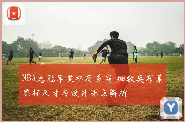 NBA总冠军奖杯有多高 细数奥布莱恩杯尺寸与设计亮点解析