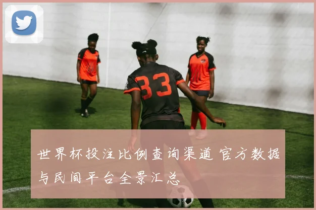 世界杯投注比例查询渠道 官方数据与民间平台全景汇总