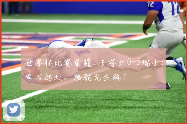 世界杯比赛前瞻_卡塔尔0-5瑞士：军刀起处，骆驼无生路？