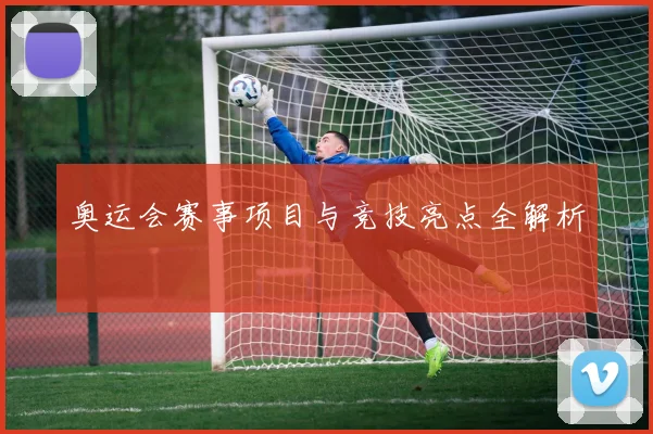 奥运会赛事项目与竞技亮点全解析