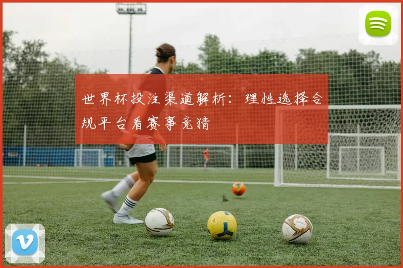 世界杯投注渠道解析：理性选择合规平台看赛事竞猜